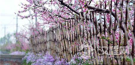 陶渊明辞官归隐后绝非一贫如洗 过的是闲居生活