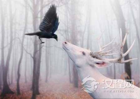 盘点历史上的祥瑞：永乐年间竟把长颈鹿当麒麟