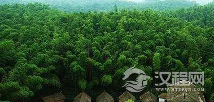 初唐四杰”政治失意后入蜀 开创清新质朴文风