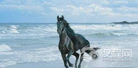 中国历史上有哪些“名马”：名马也要配名将