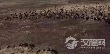 明朝史上的萨尔浒战役：敲响万历皇帝的丧钟