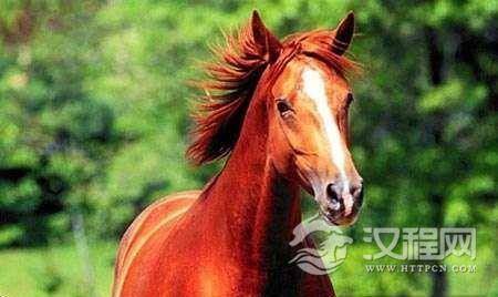 盘点古代名马：