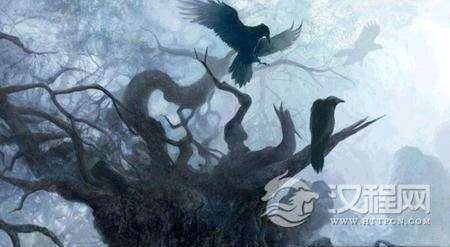 乌鸦名声不好是被冤枉：古时曾是吉祥鸟报喜鸟