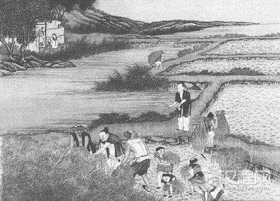 朱元璋：把皇宫变菜园在皇宫种地 提倡全民劳动