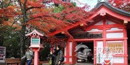 历史上日本哪支贵族的族谱中曾注明是刘邦后人？