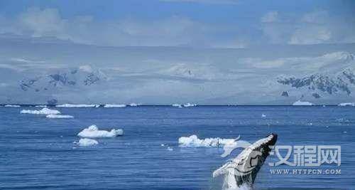 世界到底是有四大洋还是五大洋？