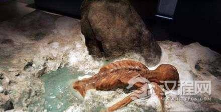 盗墓史记：揭秘中国古代尸体防腐八大秘籍（多图）