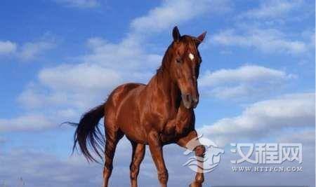 盘点三国名马：第一名马赤兔曾经跟随两位名将