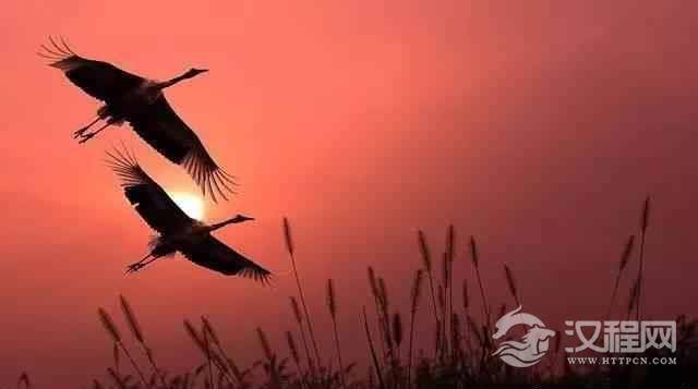 说文解字 “两口子”背后的凄美爱情