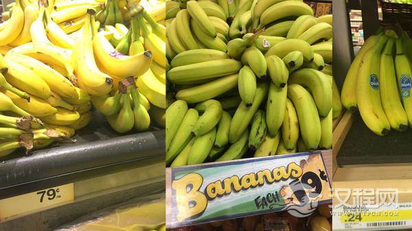 你总吃的那种香蕉可能会吃不到了MF.jpg