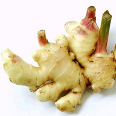 “冬吃萝卜夏吃姜”如何挑选新姜