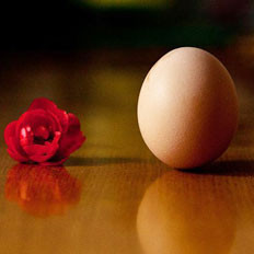 春分挑战“竖鸡蛋”