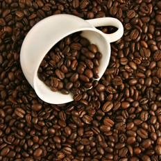 探秘咖啡的神秘起源