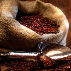 牧羊人发现咖啡的传说