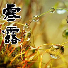 与时并进的寒露养生