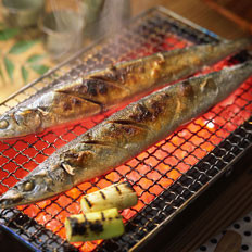 日本的秋刀鱼之思