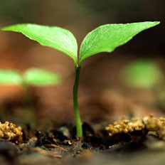 春分民俗及饮食文化