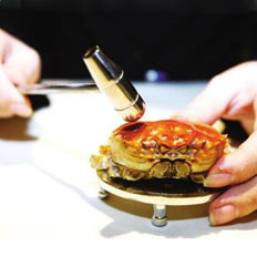 贵族的吃蟹工具：蟹八件