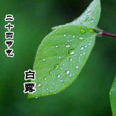 白露由来与习俗