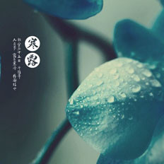 二十四节气之寒露