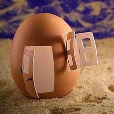 把鸡蛋竖起来的民俗