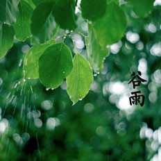 谷雨民俗及饮食文化