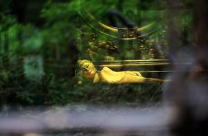 带你了解寺、庙、祠、观、庵五大道场的不同之处