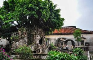 厦门隐藏着一座百年老屋，号称中国古民居“活化石”！