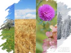 农历二十四节气（九华立春祭、班春劝农、石阡说春）