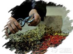 苗医药(癫痫症疗法、钻节风疗法)