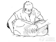 中医诊法(葛氏捏筋拍打疗法、王氏脊椎疗法、道虎壁王氏中医妇科、朱氏推拿疗法、张一帖内科疗法)