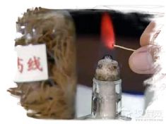 壮医药（壮医药线点灸疗法）