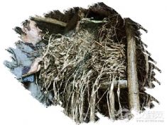 桑皮纸制作技艺