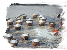 晒盐技艺(海盐晒制技艺、井盐晒制技艺)