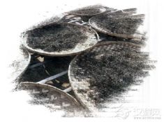 普洱茶制作技艺（贡茶制作技艺、大益茶制作技艺）