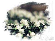 花茶制作技艺（张一元茉莉花茶制作技艺）