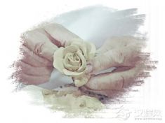 枫溪瓷烧制技艺