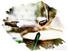 料器（北京料器）