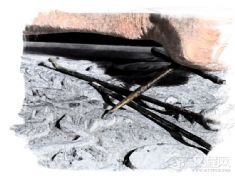 石雕（煤精雕刻、鸡血石雕、嘉祥石雕、掖县滑石雕刻、方城石猴、大冶石雕、菊花石雕、雷州石狗、白花石刻、安岳石刻、泽库和日寺石刻）