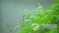 高考成绩出来了，请学会理解