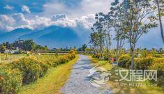 每天放下手机半小时，会有什么意想不到的收获？