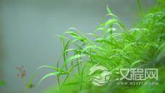 家庭教育的成败取决于什么呢？