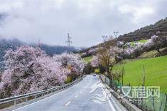 有远见的女人，都有后路