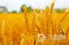 把心情照顾好，比什么都重要