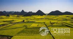 如何对待不喜欢你的人