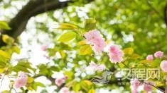 余生，请远离心穷的人