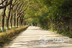 越是优秀的人，越是懂得尊重别人