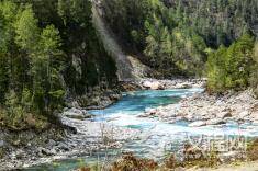 逞强是一场灾难，示弱是一种智慧