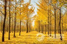 人生，就是不断丢掉包袱