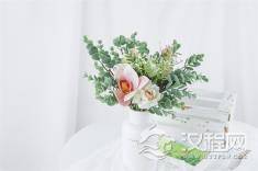 不要去追一匹马